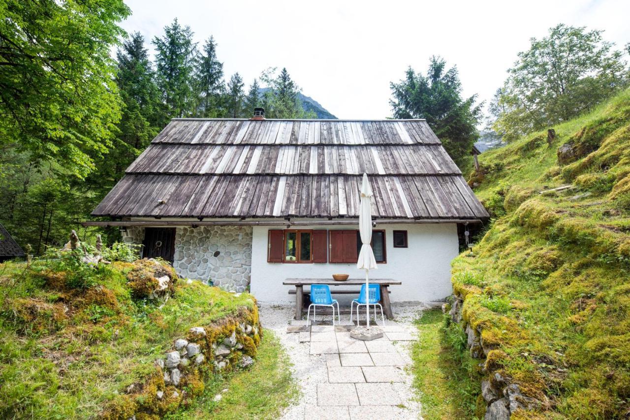 Вілла Fairy Tale House Трента Екстер'єр фото