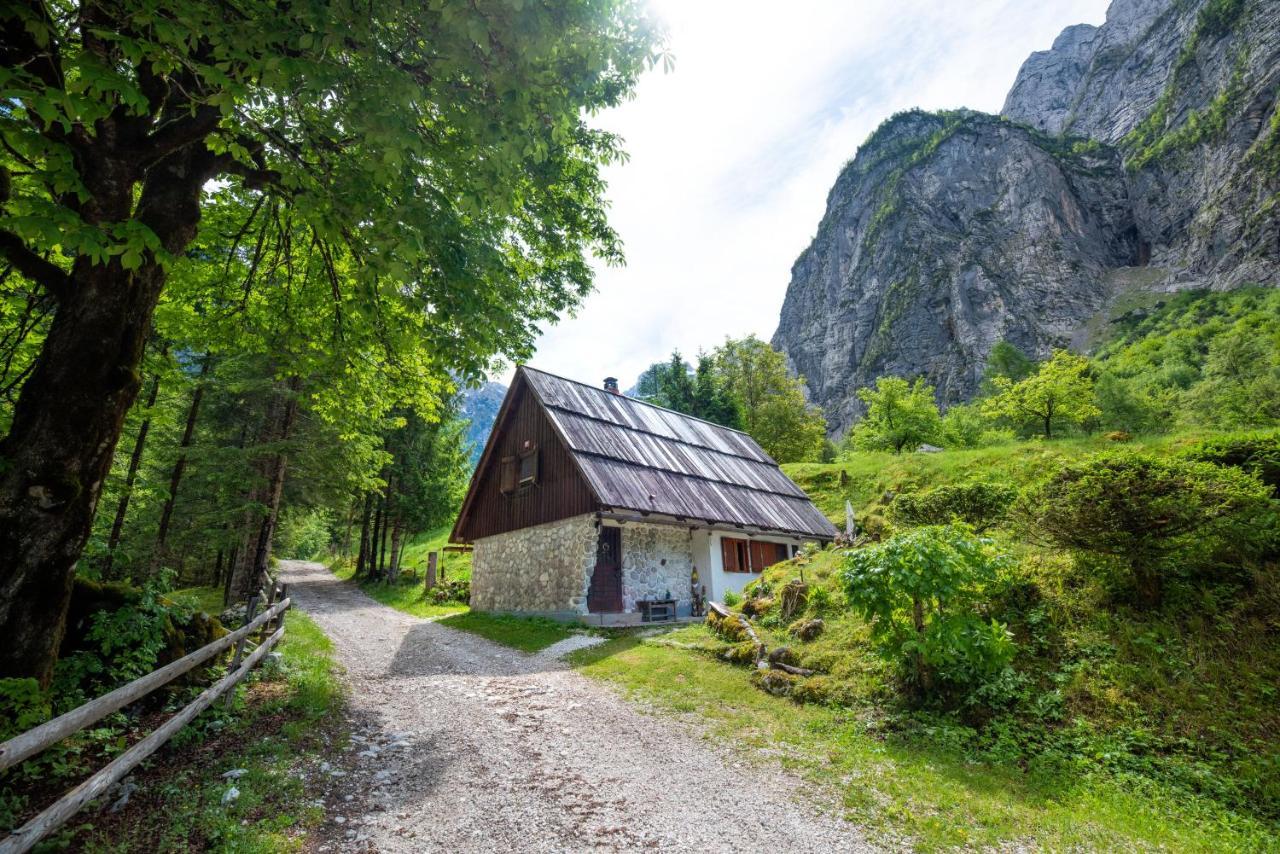 Вілла Fairy Tale House Трента Екстер'єр фото